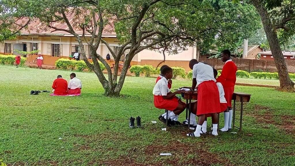 IMG_20251103_133839_570